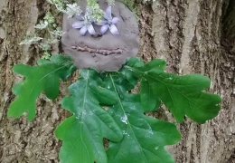 tree_clay_02.jpg