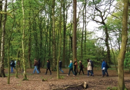 Community Woodland Trail