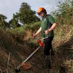 conservation and management of grassland