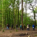 Community Woodland Trail