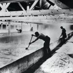 A Dig Through Salt History