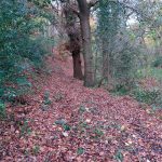 Marshall's Arm Pathway Improvements