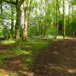 Winsford History Trail