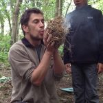 Bushcraft Day
