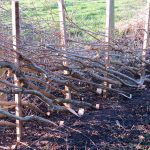 Green Wood Working