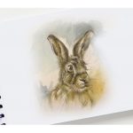 Hare