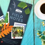 Saltscape Field Notes